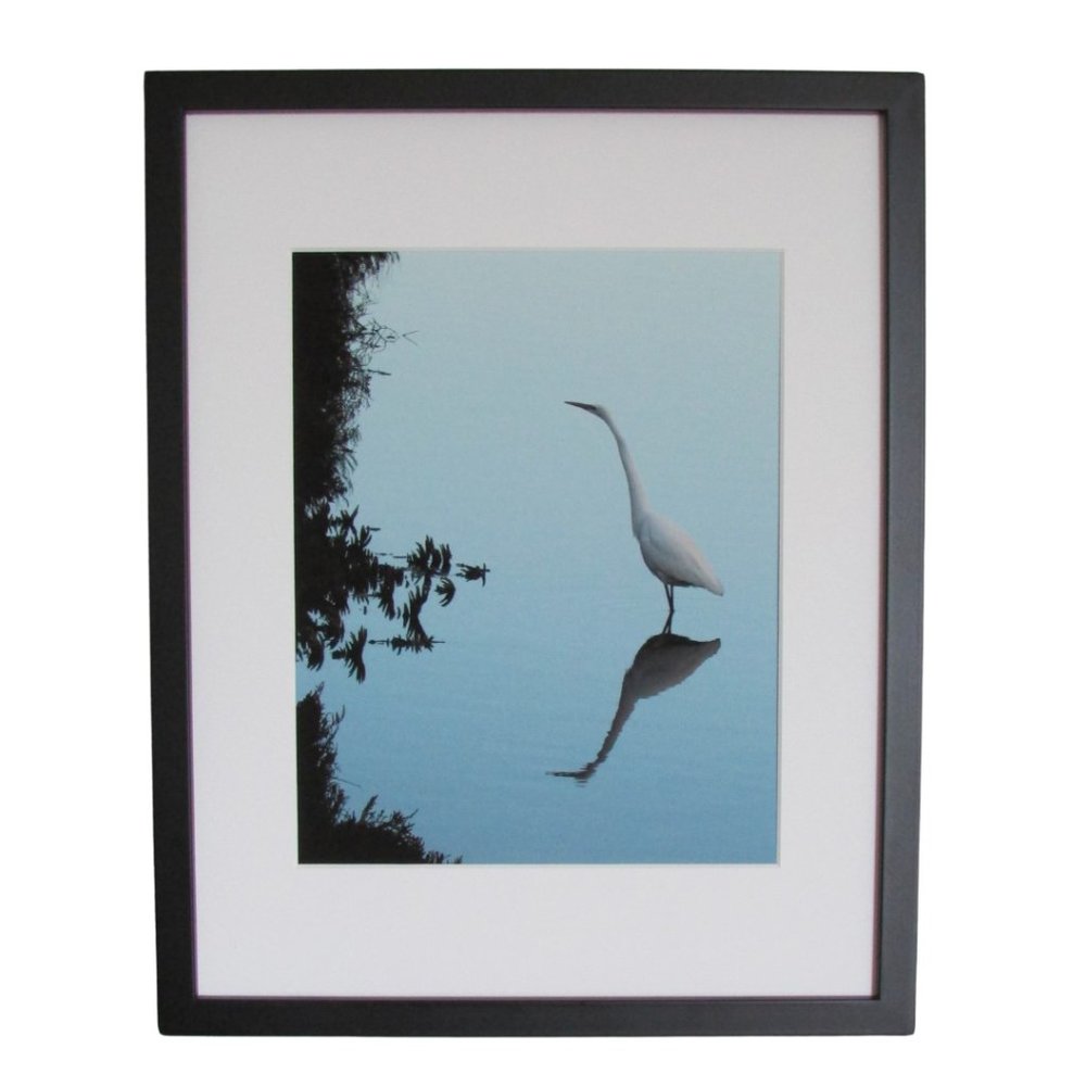 NWT Framed Limited Edition Photography - Egret Napa Wetlands